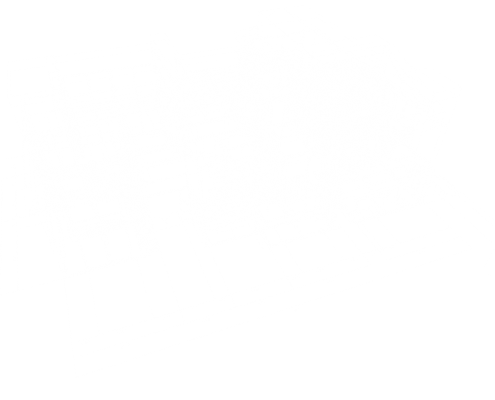 house-wire-model-fade-white